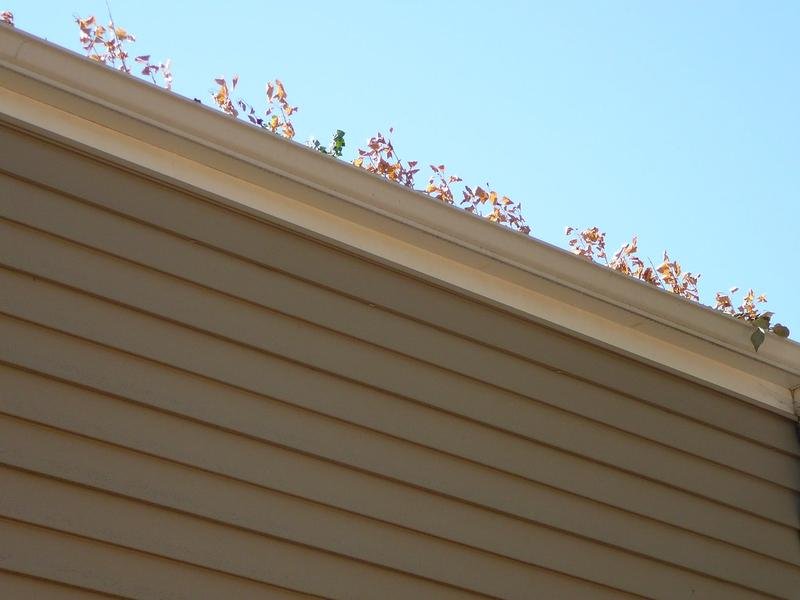 Storm Damage Repair in Manitowoc